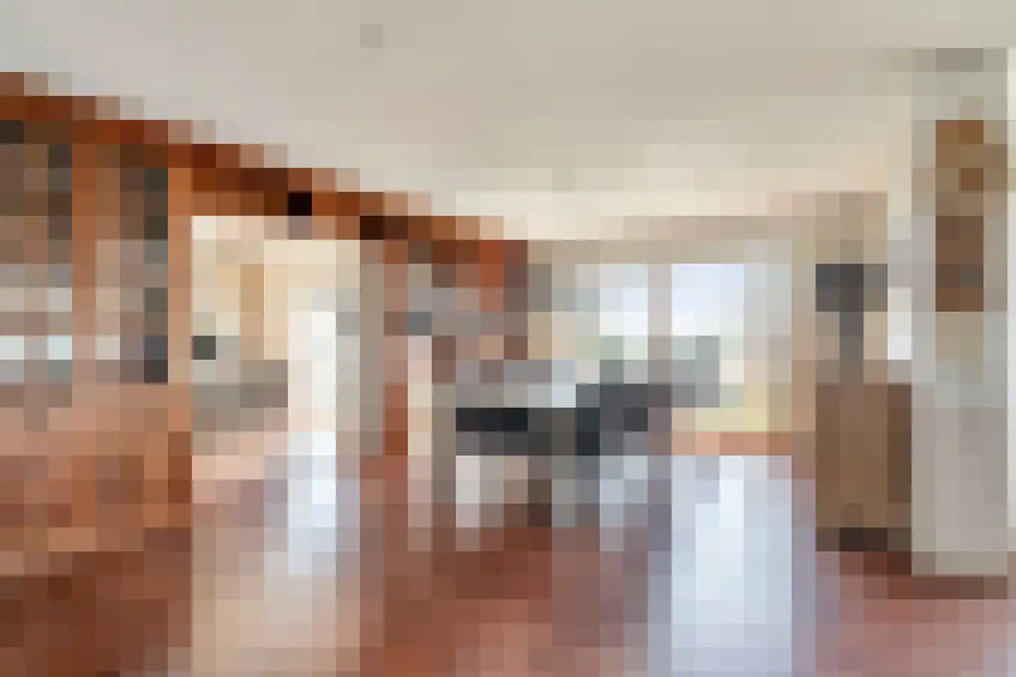 Astreastraat 3 Tolkamer thumbnail 26