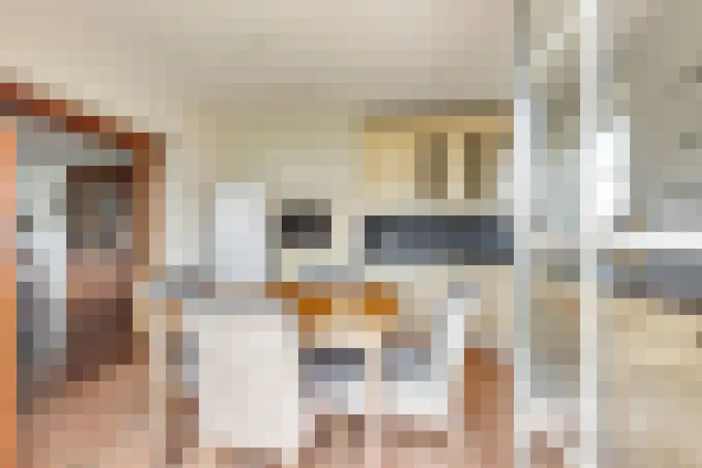 Astreastraat 3 Tolkamer thumbnail 29