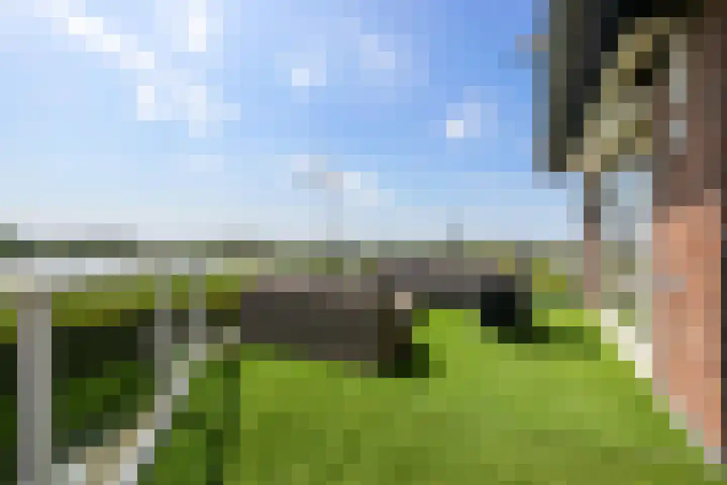 Astreastraat 3 Tolkamer thumbnail 31