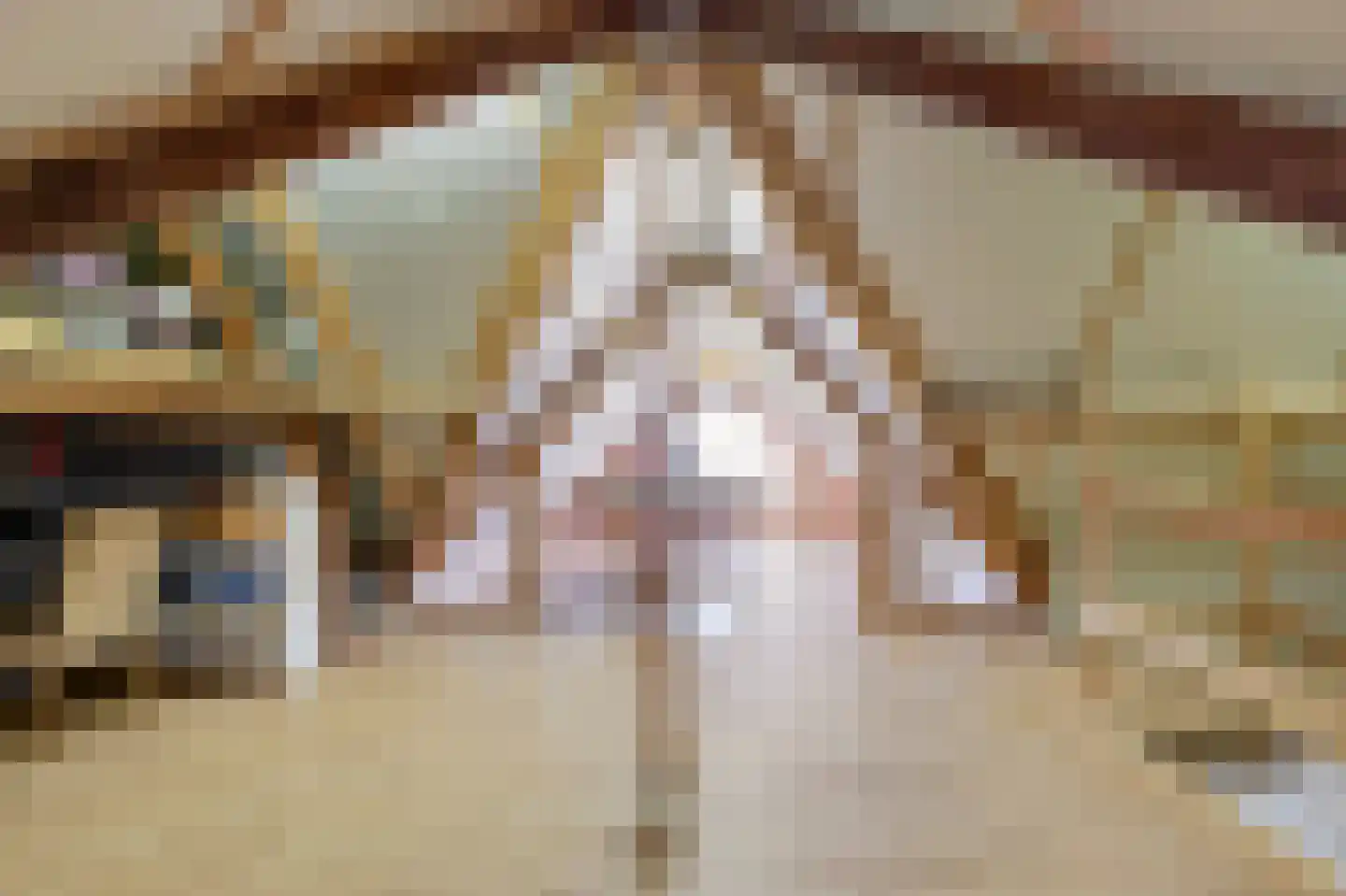 Astreastraat 3 Tolkamer thumbnail 38