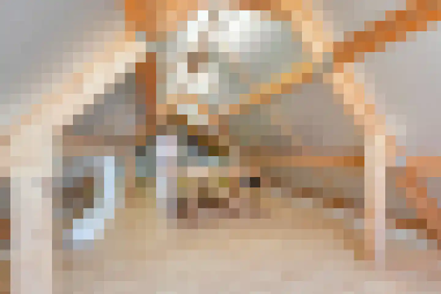 Astreastraat 3 Tolkamer thumbnail 40