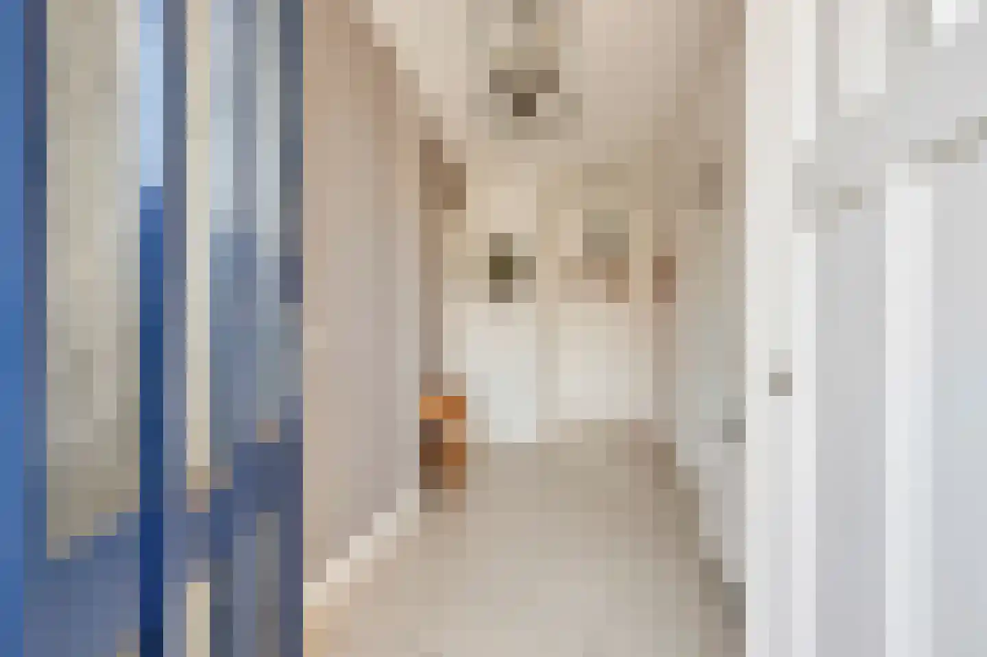 Astreastraat 3 Tolkamer thumbnail 5