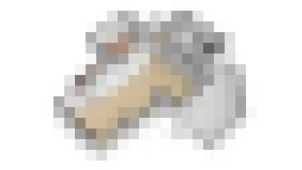 Astreastraat 3 Tolkamer thumbnail 50