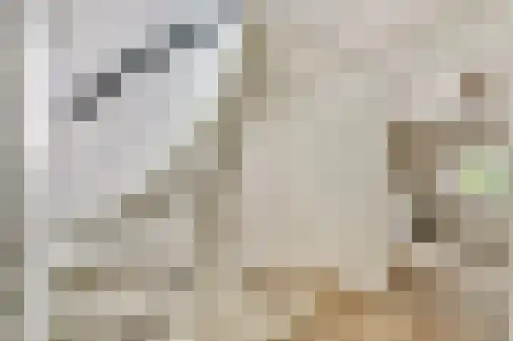 Astridlaan 24 Nunspeet thumbnail 17