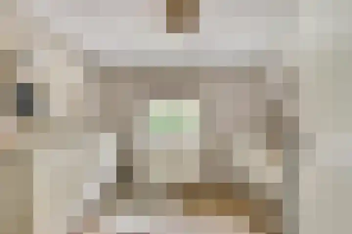 Astridlaan 24 Nunspeet thumbnail 20