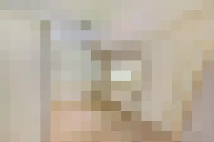 Astridlaan 24 Nunspeet thumbnail 22