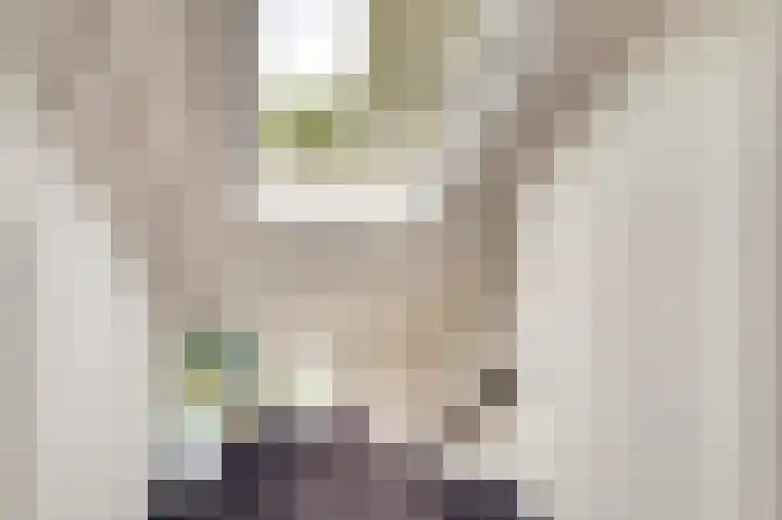 Astridlaan 24 Nunspeet thumbnail 25
