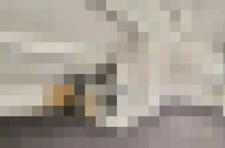 Astridlaan 24 Nunspeet thumbnail 27