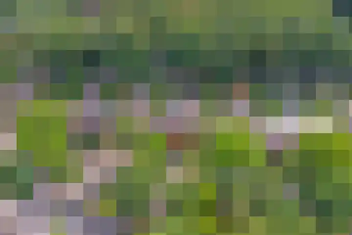 Astridlaan 24 Nunspeet thumbnail 34
