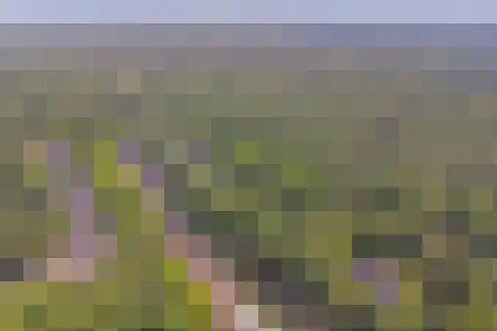 Astridlaan 24 Nunspeet thumbnail 35