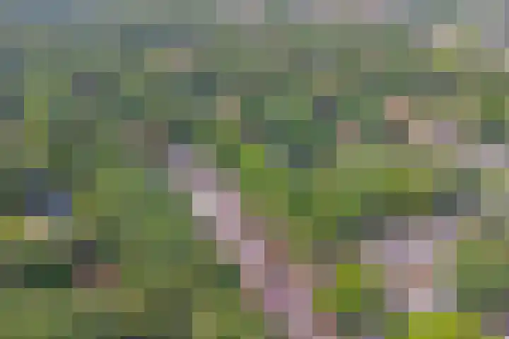 Astridlaan 24 Nunspeet thumbnail 36
