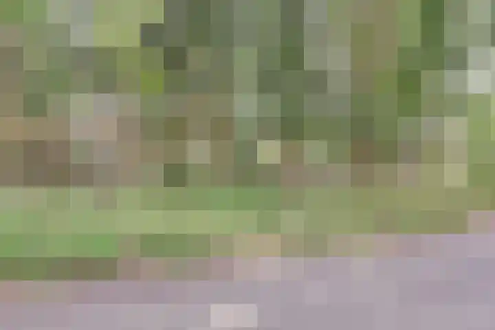 Astridlaan 24 Nunspeet thumbnail 37