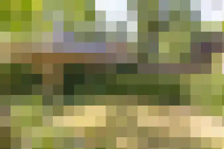 Astridlaan 5 Nunspeet thumbnail 45