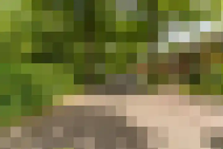 Astridlaan 5 Nunspeet thumbnail 59