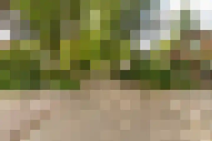 Astridlaan 5 Nunspeet thumbnail 60