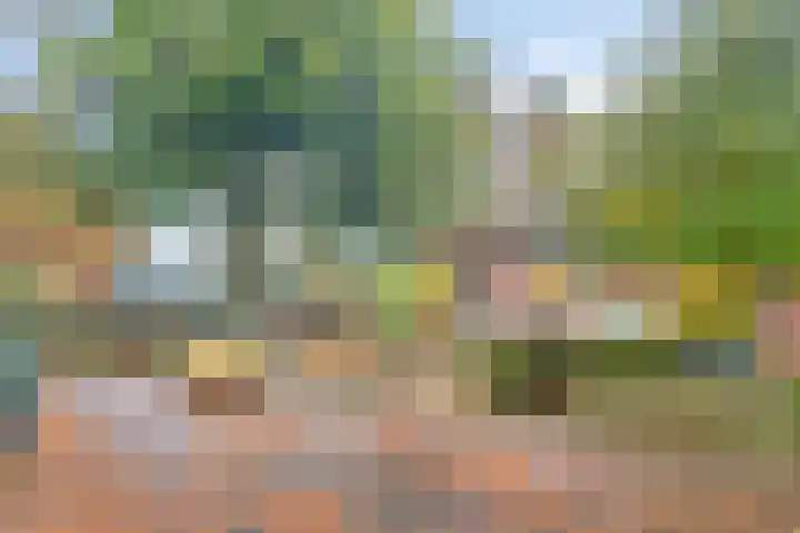 Astridlaan 64 Nunspeet thumbnail 5