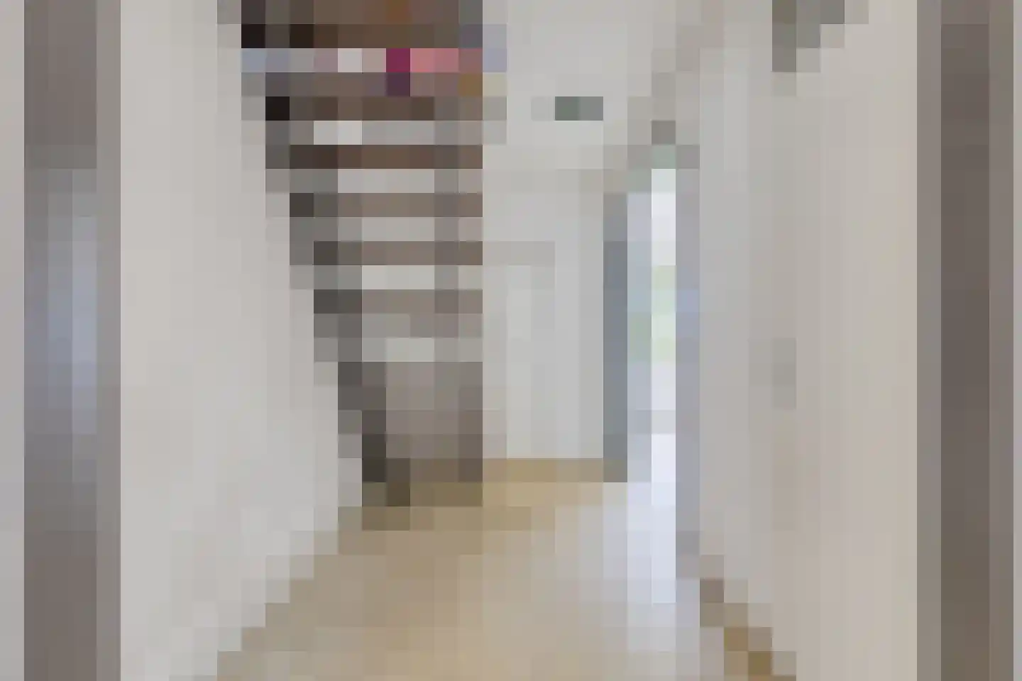 Astronautenlaan 102 Helmond thumbnail 20