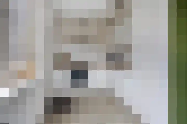 Astronautenlaan 20 Hoogezand thumbnail 12