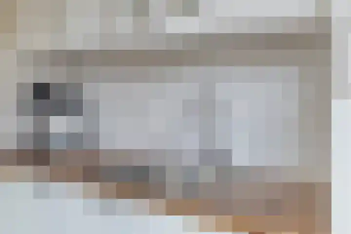 Astronautenlaan 20 Hoogezand thumbnail 14