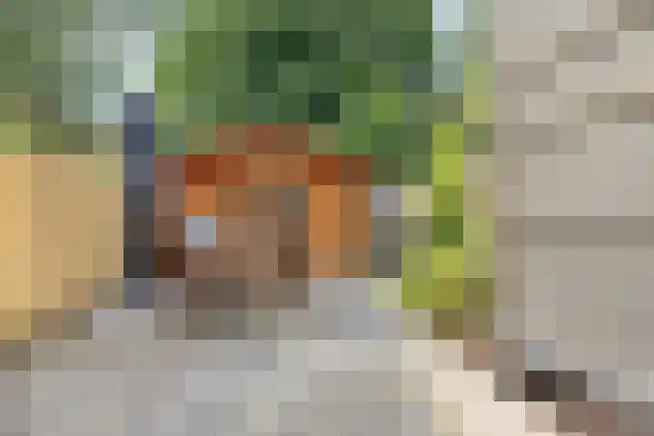 Astronautenlaan 20 Hoogezand thumbnail 37