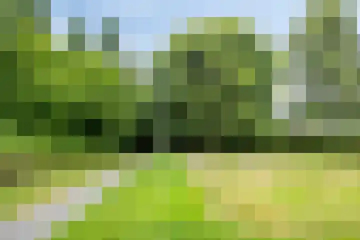 Astronautenlaan 20 Hoogezand thumbnail 42