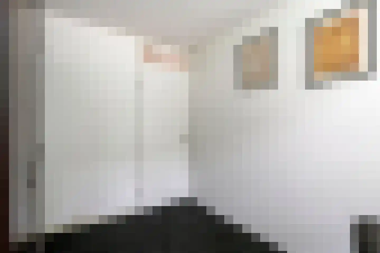 Astronautenlaan 204 Helmond thumbnail 24