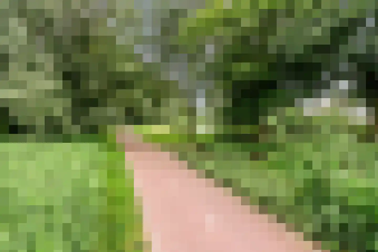 Astronautenlaan 204 Helmond thumbnail 36