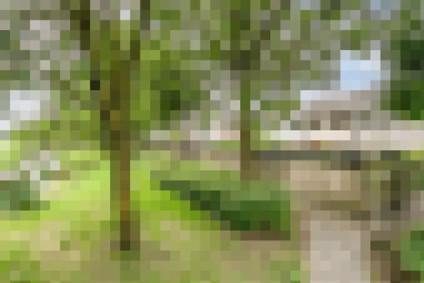 Astronautenlaan 204 Helmond thumbnail 42