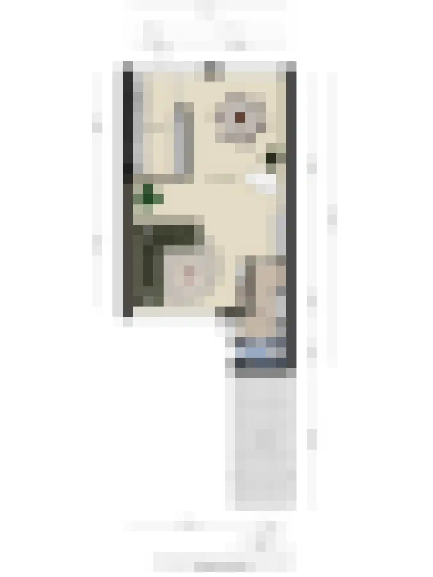 Astronautenlaan 204 Helmond thumbnail 44