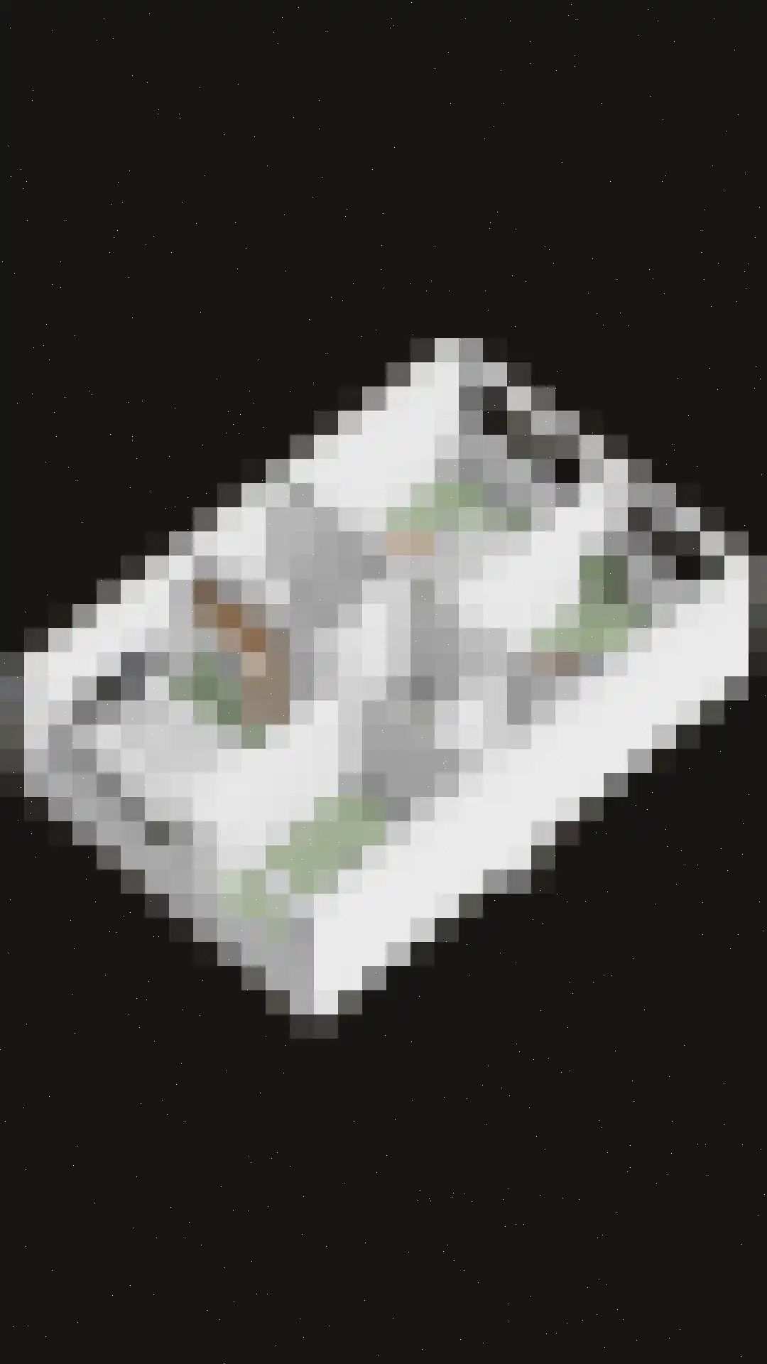 Astronautenlaan 204 Helmond thumbnail 47