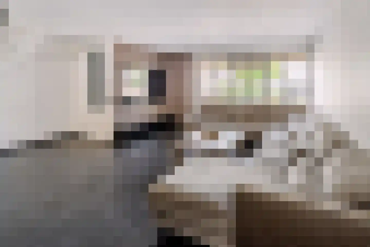 Astronautenlaan 216 Helmond thumbnail 17