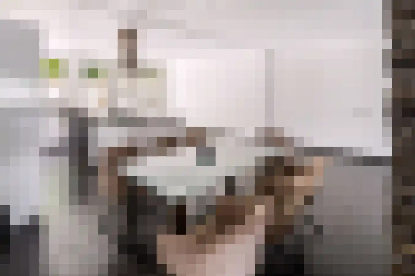 Astronautenlaan 216 Helmond thumbnail 18