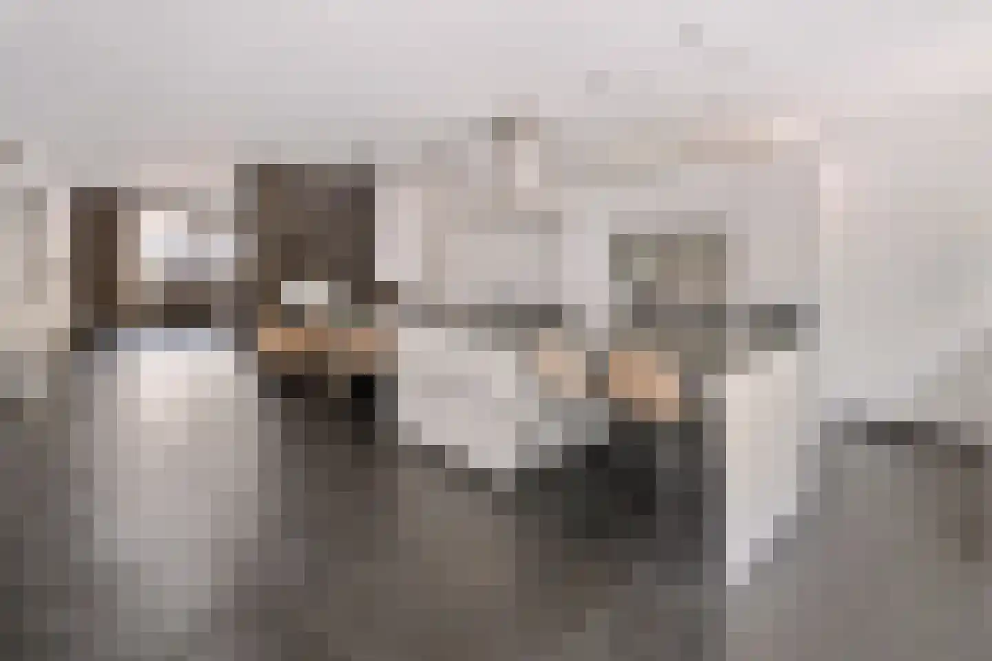 Astronautenlaan 216 Helmond thumbnail 20