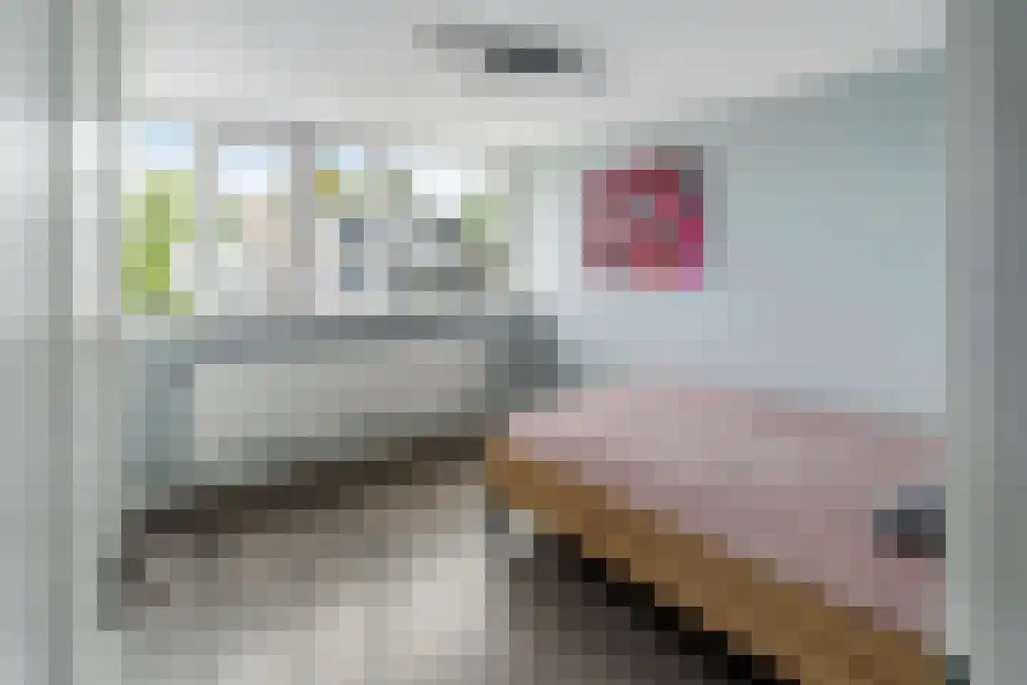 Astronautenlaan 216 Helmond thumbnail 30