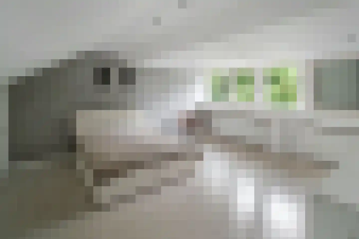 Astronautenlaan 216 Helmond thumbnail 33