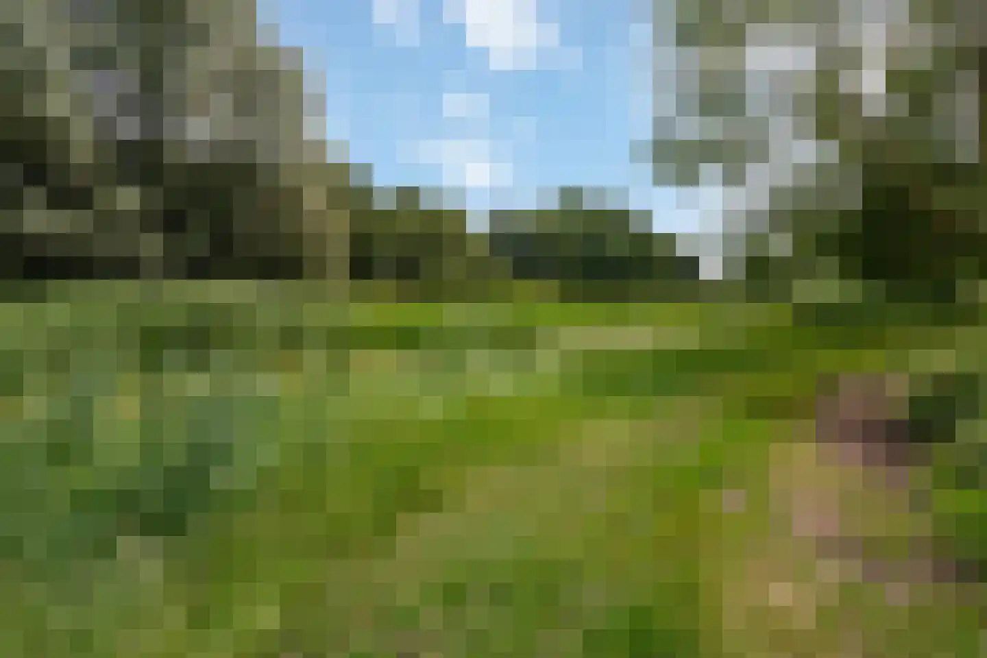Astronautenlaan 216 Helmond thumbnail 6