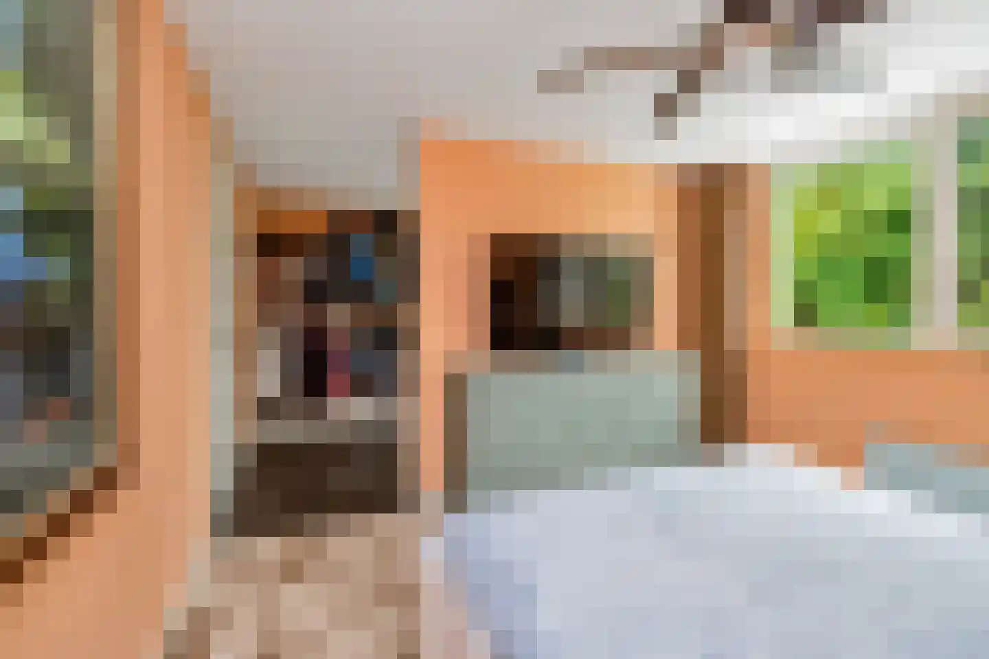 Astronautenlaan 218 Helmond thumbnail 26