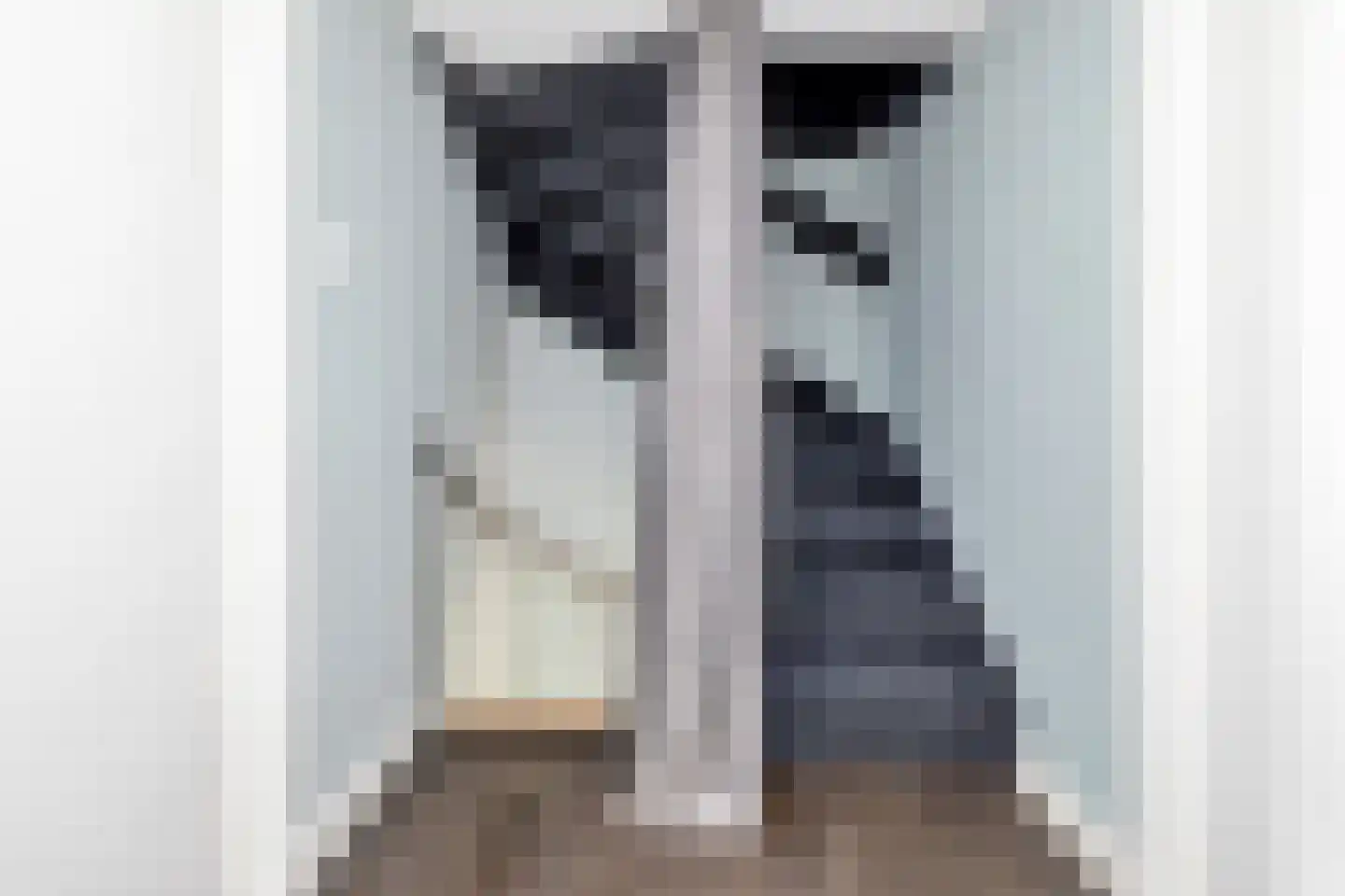 Astronautenlaan 218 Helmond thumbnail 37