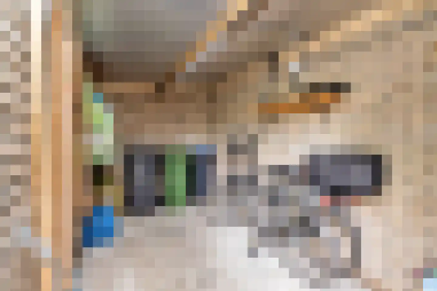 Astronautenlaan 218 Helmond thumbnail 54