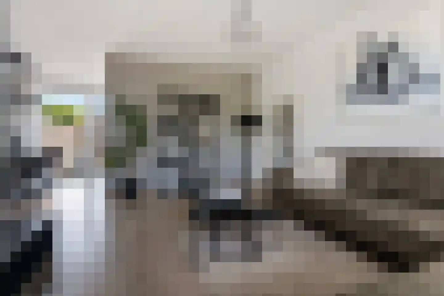 Astronautenlaan 43 Hoogezand thumbnail 10