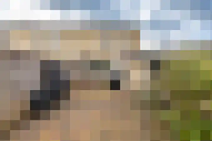 Astronautenlaan 51 Hoogezand thumbnail 17