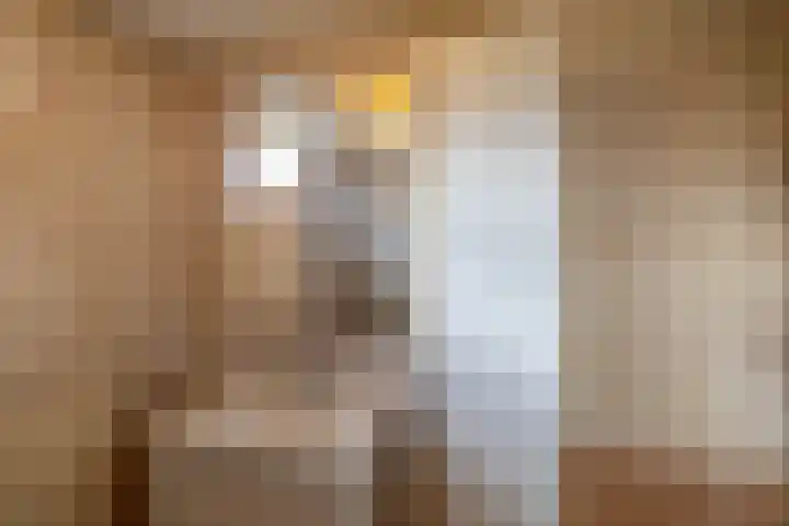Astronautenlaan 51 Hoogezand thumbnail 25