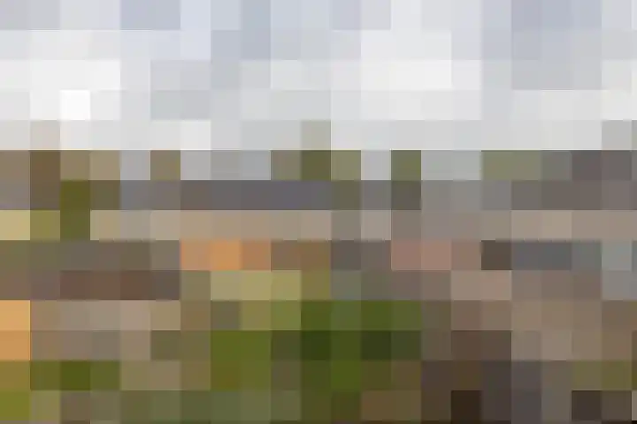 Astronautenlaan 51 Hoogezand thumbnail 27