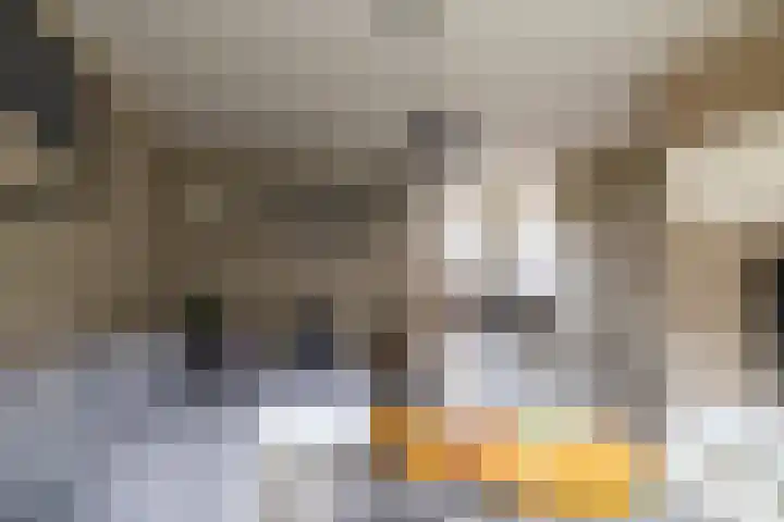Astronautenlaan 51 Hoogezand thumbnail 9