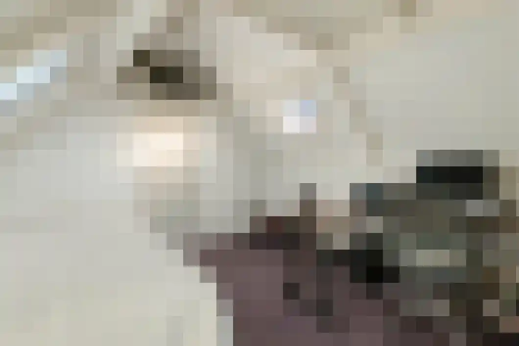 Astronautenlaan 75 Hoogezand thumbnail 29
