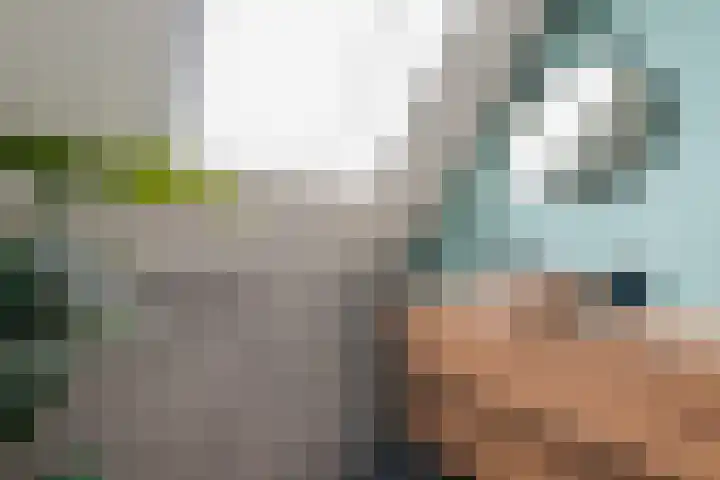 Astronautenlaan 9 Hoogezand thumbnail 26
