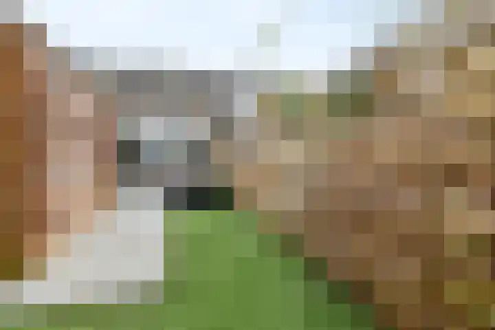 Astronautenlaan 9 Hoogezand thumbnail 30