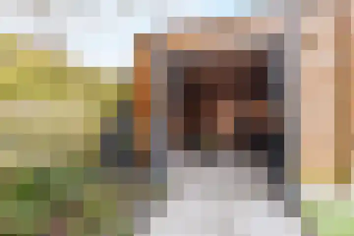 Astronautenlaan 9 Hoogezand thumbnail 32