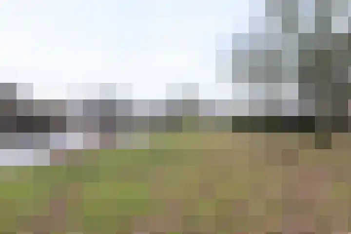 Astronautenlaan 9 Hoogezand thumbnail 34
