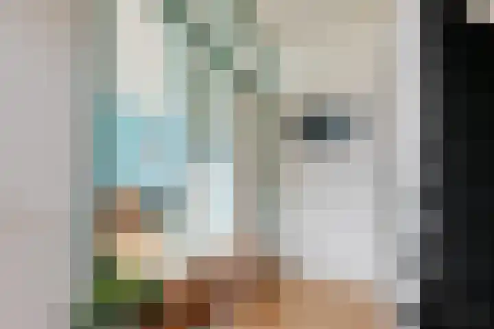 Astronautenlaan 9 Hoogezand thumbnail 7
